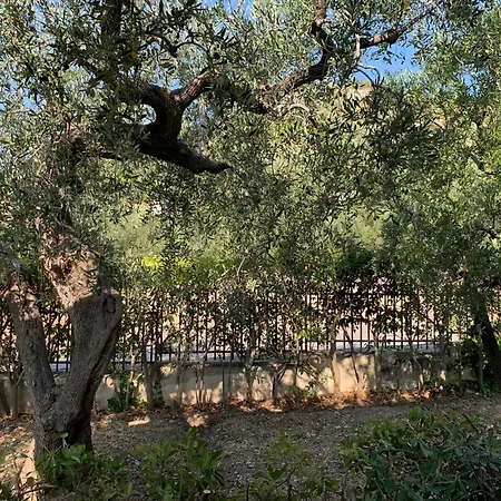 Macchia Del Gargano Σπίτι διακοπών Monte SantʼAngelo